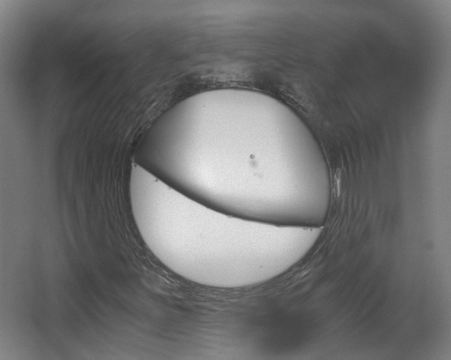 X0000063521251200601201116
