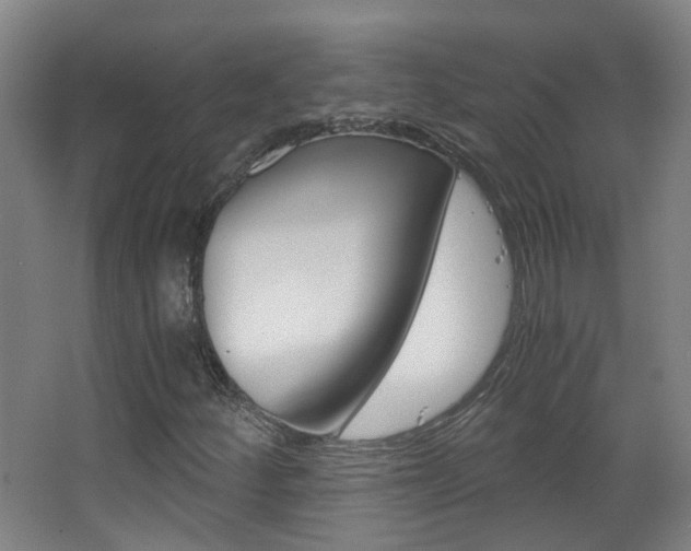 X0000063521252200601201116