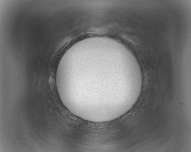 X0000063521254200601201116