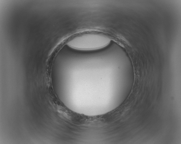 X0000063521256200601201116