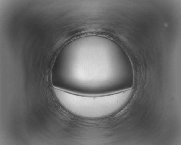 X0000063521257200601201116