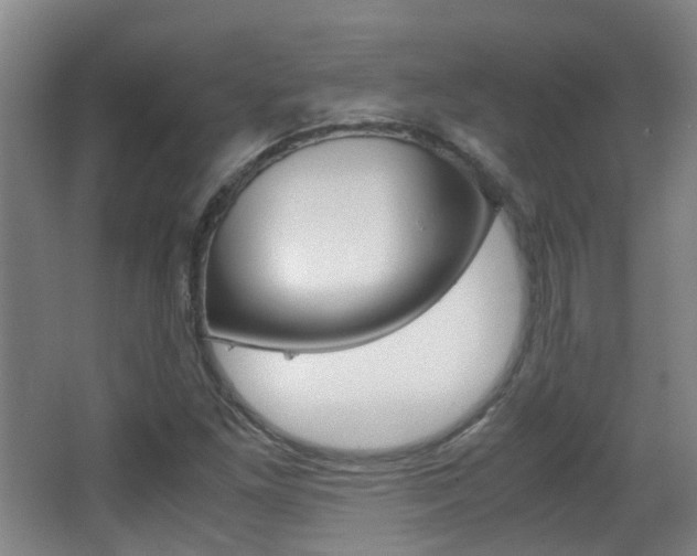 X0000063521261200601201116