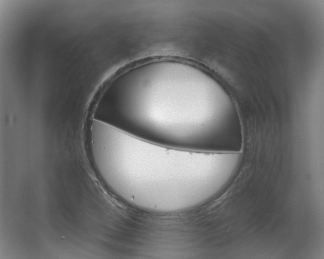 X0000063521264200601201116