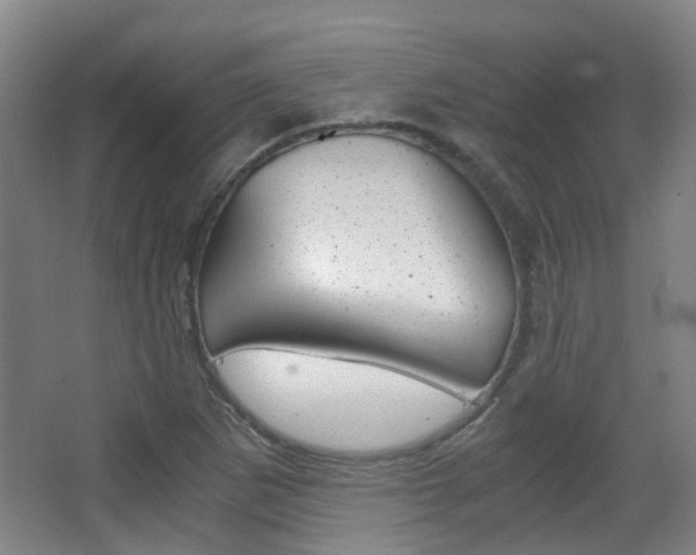 X0000063521265200601201116
