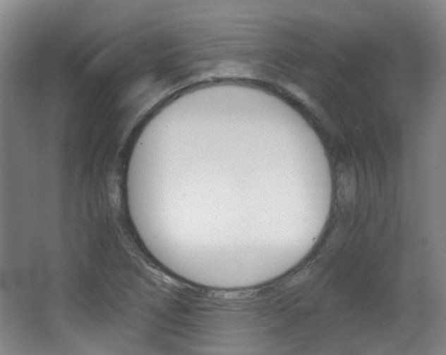 X0000063521266200601201116