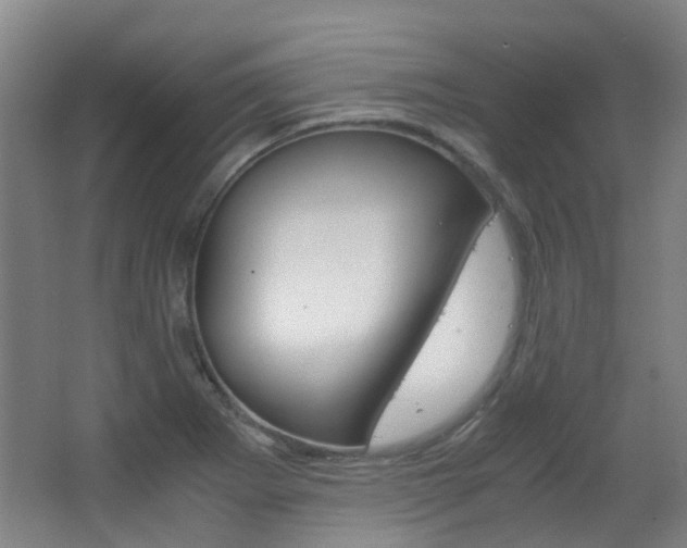 X0000063521273200601201116