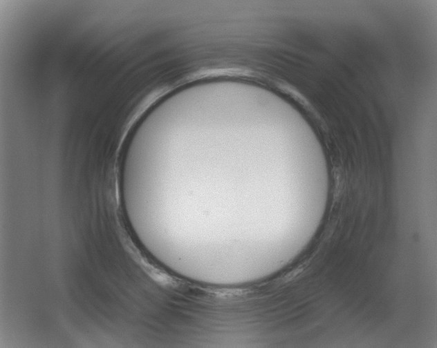 X0000063521274200601201116