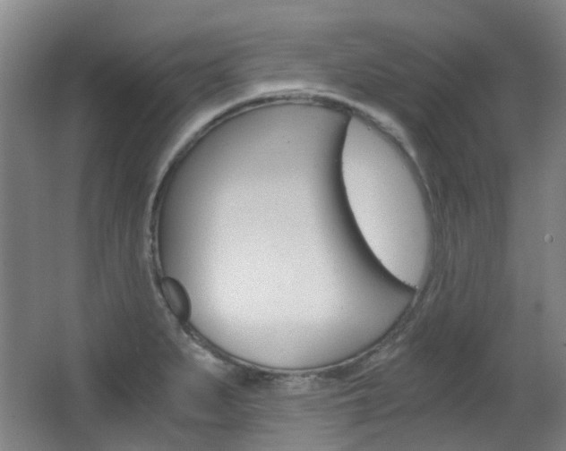 X0000063521279200601201115