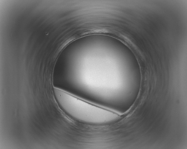 X0000063521281200601201115