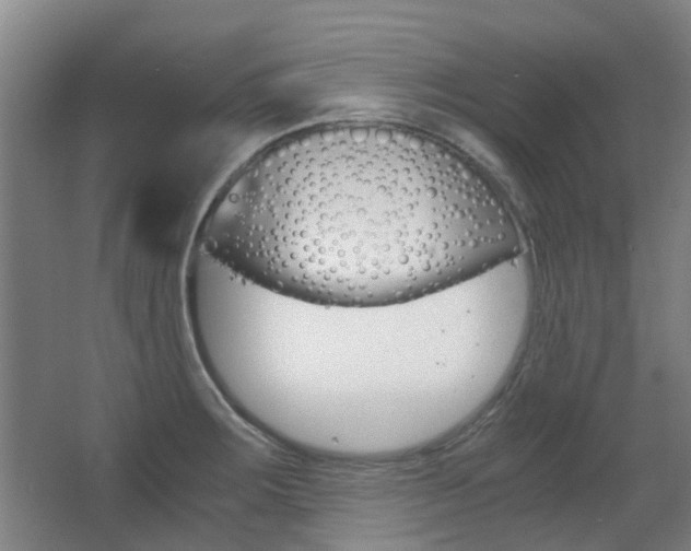 X0000063521283200601201115