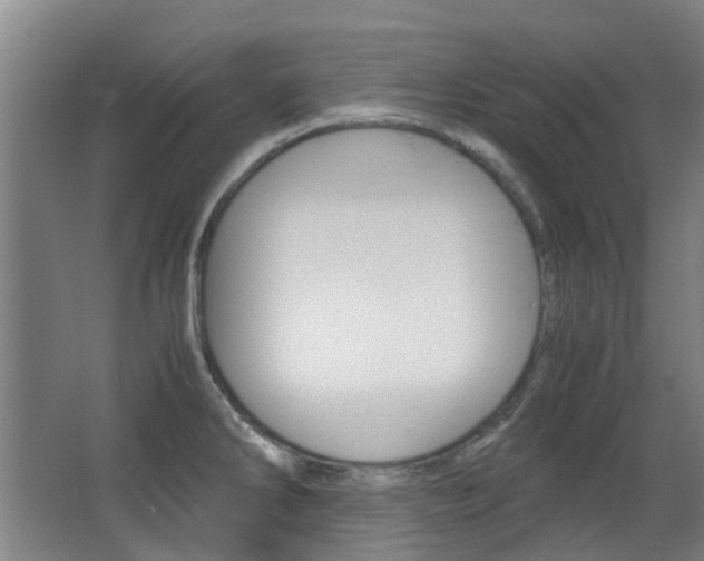 X0000063521286200601201115