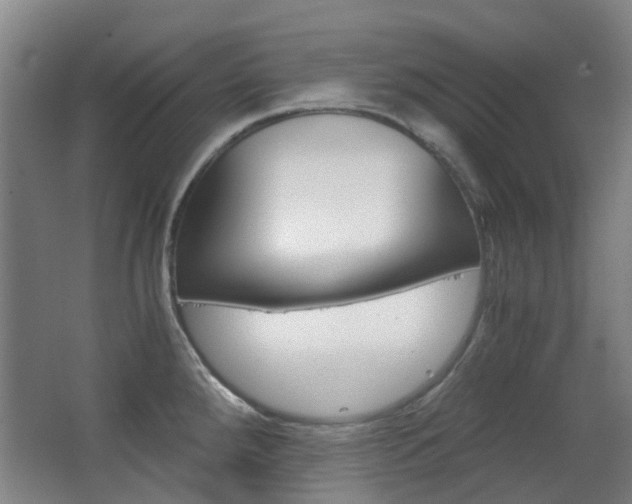 X0000063521288200601201115