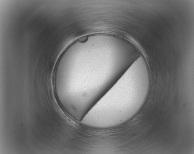 X0000063521291200601201115