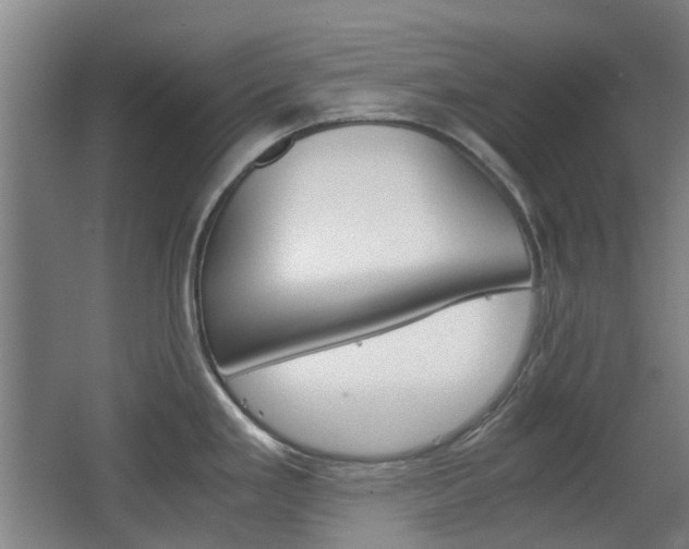 X0000063521293200601201115