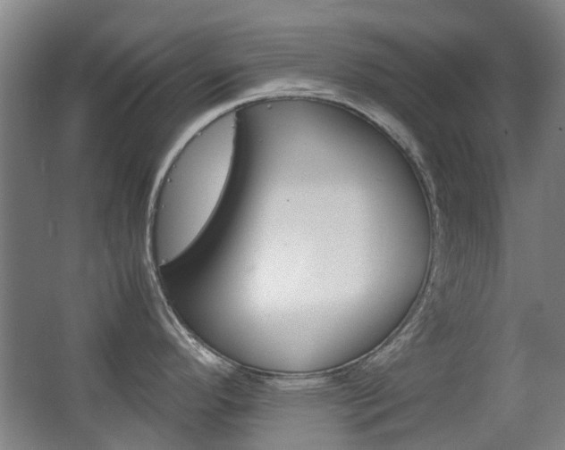 X0000063521296200601201115