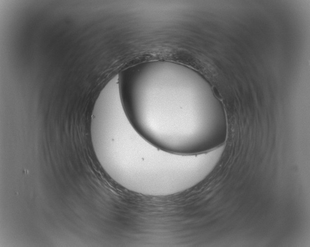 X0000063521298200601201114