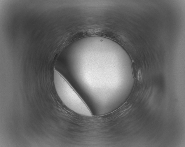 X0000063521299200601201114