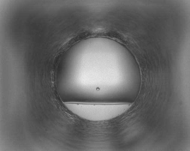 X0000063521301200601201114