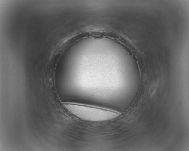 X0000063521303200601201114