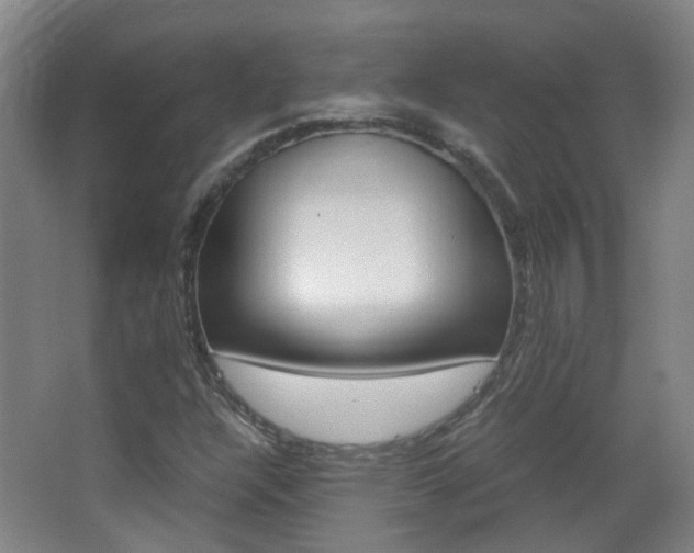 X0000063521304200601201114