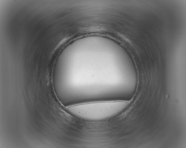 X0000063521306200601201115