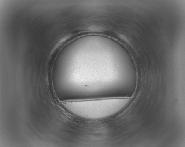 X0000063521307200601201115