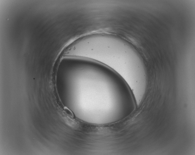 X0000063521308200601201115
