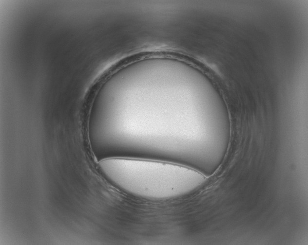 X0000063521311200601201115