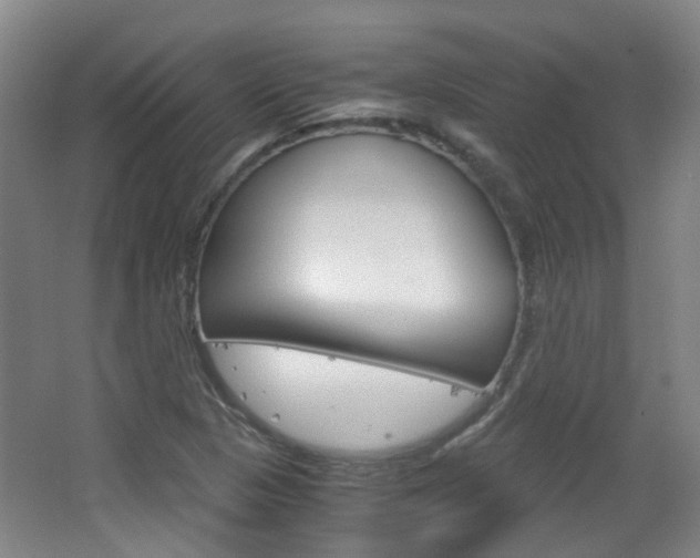 X0000063521313200601201115