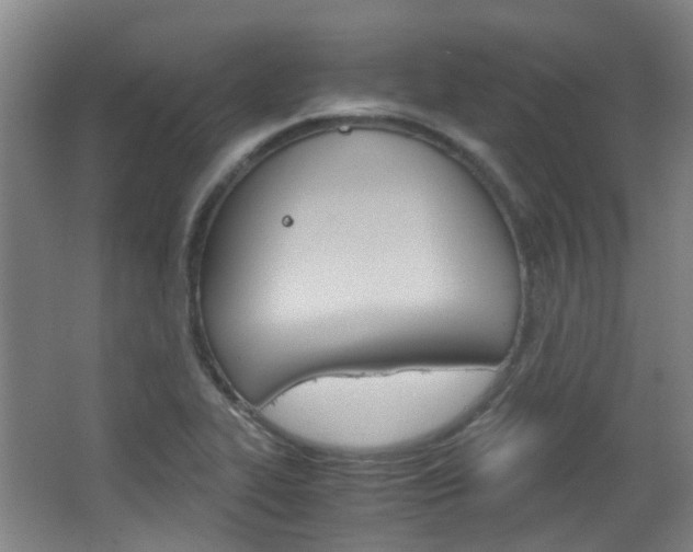 X0000063521319200601201115