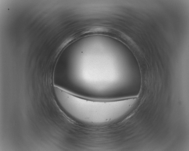 X0000063521321200601201115