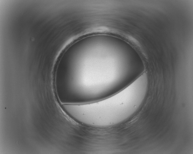 X0000063521326200601201115