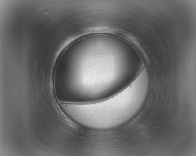 X0000063521328200601201115