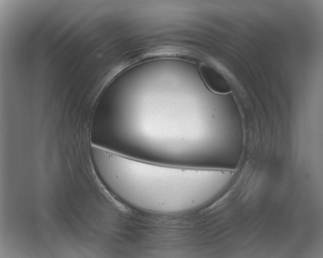 X0000063521329200601201115