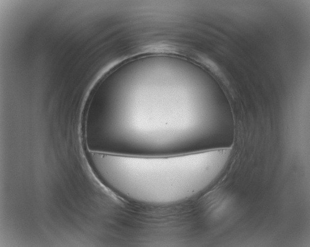 X0000063521331200601201115