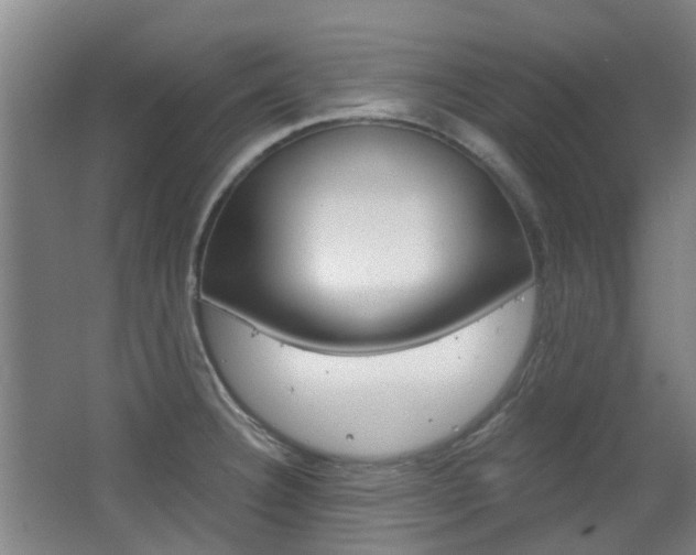X0000063521332200601201115