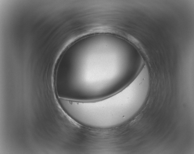 X0000063521334200601201115