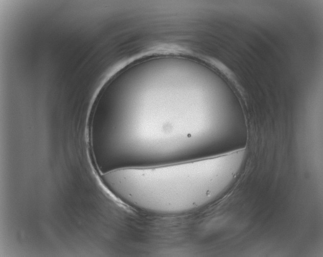 X0000063521335200601201115