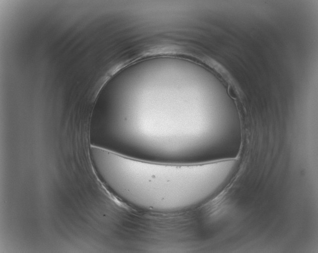 X0000063521337200601201115
