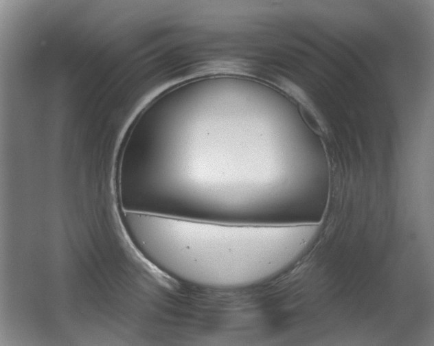 X0000063521339200601201115