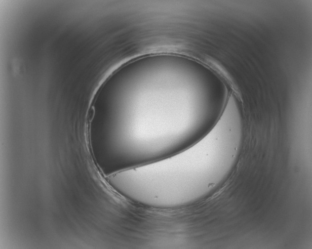 X0000063521340200601201115