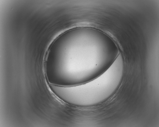 X0000063521342200601201115