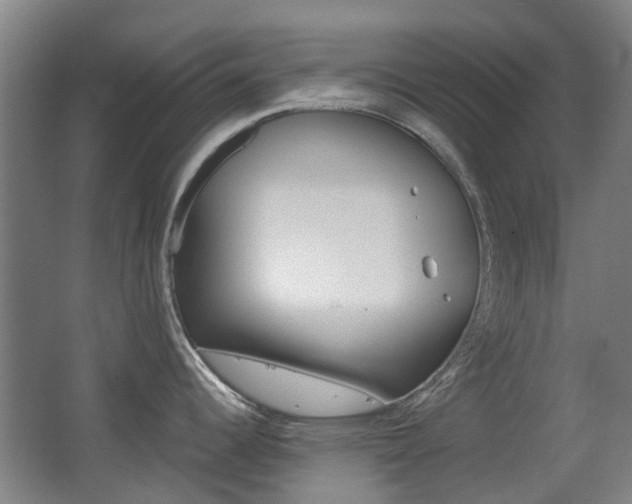 X0000063521344200601201115