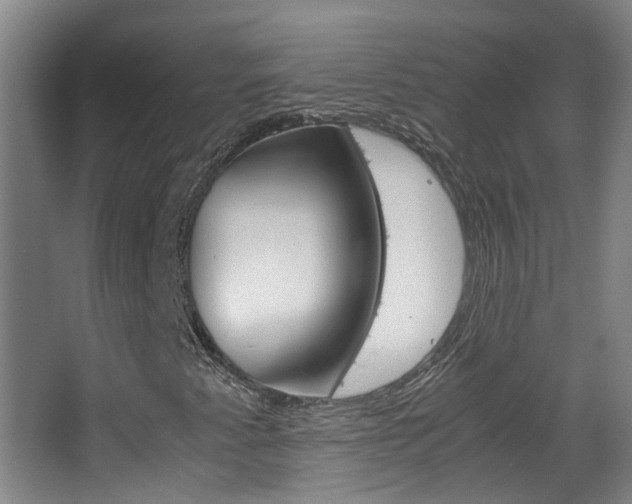 X0000063521345200601201114