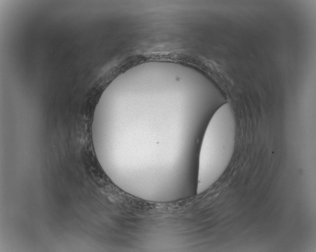 X0000063521350200601201114