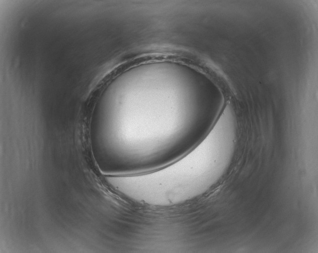 X0000063521352200601201114