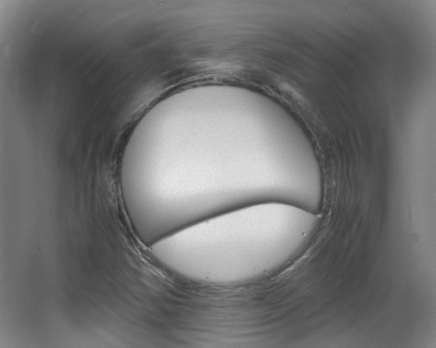X0000063521354200601201114