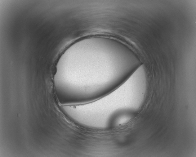 X0000063521363200601201114