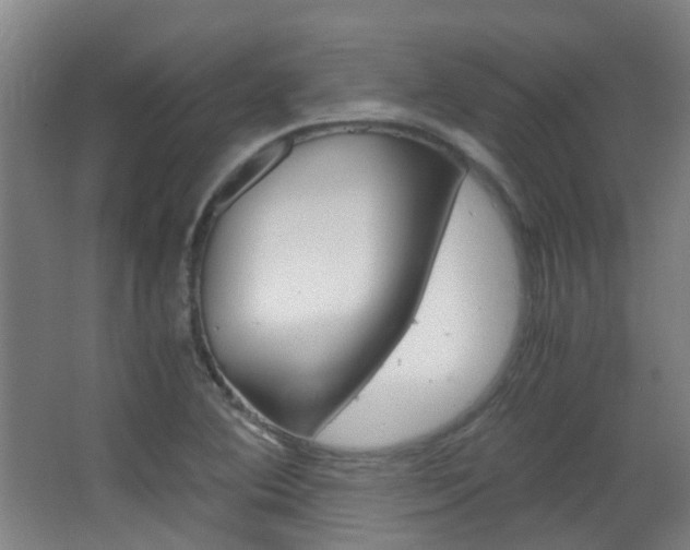 X0000063521364200601201114