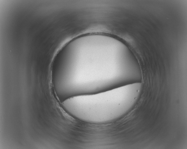 X0000063521366200601201114